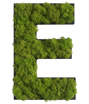 styleGREEN Buchstaben aus Islandmoos, ca. H25 cm