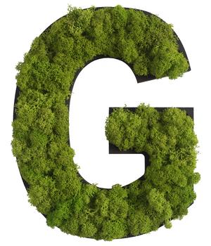 styleGREEN Buchstaben aus Islandmoos, ca. H25 cm, Grün - Moos, Naturmaterial, Holz
