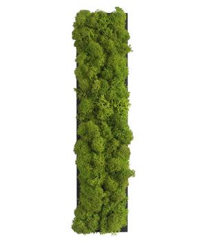 styleGREEN Buchstaben aus Islandmoos, ca. H25 cm, Grün - Moos / Naturmaterial Holz