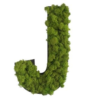 styleGREEN Buchstaben aus Islandmoos, ca. H25 cm