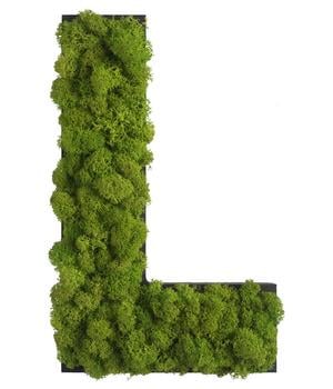 styleGREEN Buchstaben aus Islandmoos, ca. H25 cm, Grün - Moos, Naturmaterial, Holz