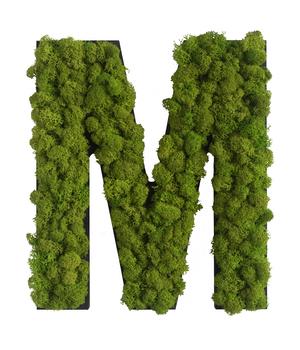 styleGREEN Buchstaben aus Islandmoos, ca. H25 cm, Grün - Moos, Naturmaterial, Holz