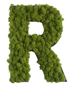 styleGREEN Buchstaben aus Islandmoos, ca. H25 cm, Grün - Moos, Naturmaterial, Holz
