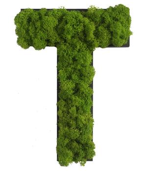 styleGREEN Buchstaben aus Islandmoos, ca. H25 cm, Grün - Moos / Naturmaterial Holz