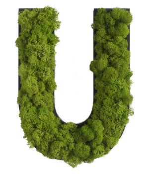 styleGREEN Buchstaben aus Islandmoos, ca. H25 cm, Grün - Moos, Naturmaterial, Holz
