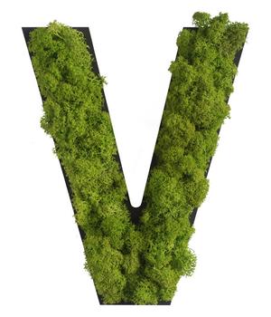 styleGREEN Buchstaben aus Islandmoos, ca. H25 cm, Grün - Moos, Naturmaterial, Holz