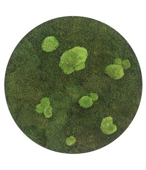 styleGREEN Bild aus Wald- und Kugelmoos, kreisförmig, ca. Ø54 cm