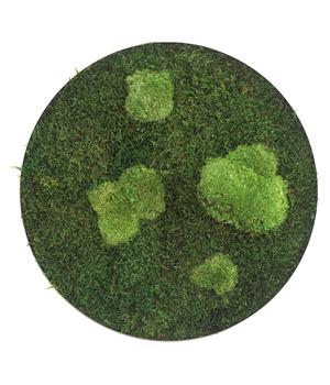 styleGREEN Bild aus Wald- und Kugelmoos, kreisförmig, ca. Ø34 cm, Grün, Hellgrün - Moos, Edelstahl