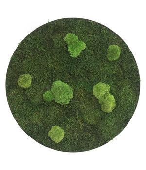 styleGREEN Bild aus Wald- und Kugelmoos, kreisförmig, ca. Ø80 cm, Grün, Hellgrün - Moos, Edelstahl