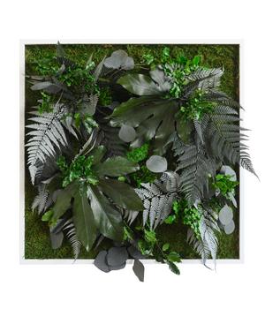 styleGREEN Bild aus Wald- und Kugelmoos, quadratisch, ca. B55/H55/T17 cm, Grün, Dunkelgrün - Moos, Naturmaterial, Holz