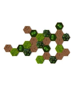 styleGREEN Bilder-Set aus Moos und Kork, Hexagon, 25-teilig, Grün, Dunkelgrün, Hellbraun - Moos, Naturmaterial, Kork