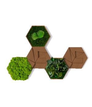 styleGREEN Bilder-Set aus Moos und Kork, Hexagon, 5-teilig, Grün / Dunkelgrün Hellbraun - Naturmaterial Kork