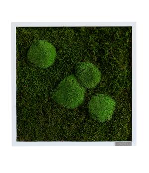styleGREEN Bild aus Wald- und Kugelmoos, quadratisch, ca. B35/H35/T6 cm, Grün, Dunkelgrün - Moos, Holz