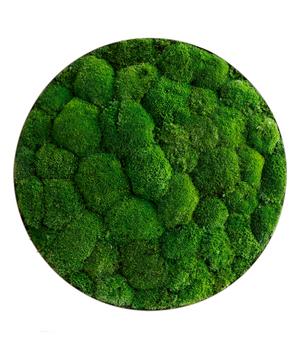styleGREEN Bild aus Kugelmoos, Ellipsoid, ca. Ø54 cm, Grün - Moos, Edelstahl