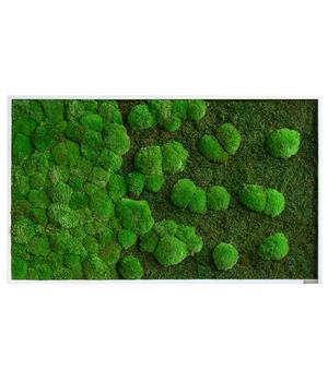styleGREEN Bild aus Wald- und Kugelmoos im Verlauf, ca. B100/H60/T7 cm, Grün / Hellgrün - Moos Holz