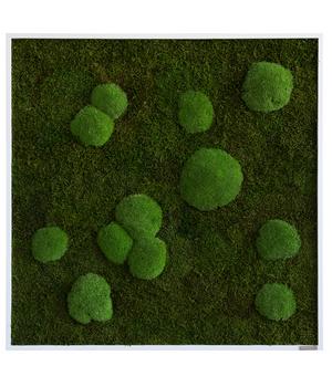styleGREEN Bild aus Wald- und Kugelmoos, quadratisch, ca. B80/H80/T7 cm, Grün, Hellgrün - Moos, Holz