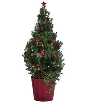 Geschmückter Weihnachtsbaum Antikrot, mit Lichterkette