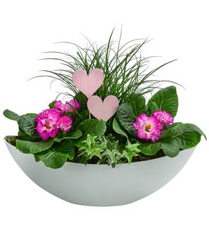 Jardiniere Rosea, ca. H35/B29 cm von Dehner, Pink / Weiß Grün - Kunststoff