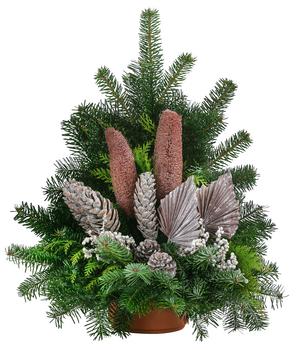 Grabgesteck aus Nordmann-Tanne, braun, ca. B60/H55/T35 cm