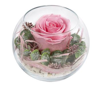 Dehner Kugelglas mit Longlife-Rose Doris, rosa, ca. Ø10/H12 cm