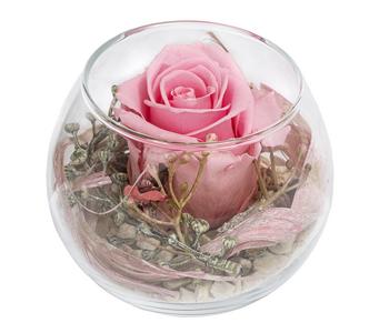 Dehner Kugelglas mit Longlife-Rose Annabell, rosa, ca. Ø10/H10 cm
