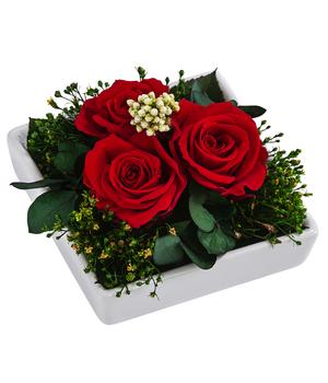 Dehner Keramik-Schale mit Longlife-Rose Zina, rot, ca. B10/H7/T10 cm