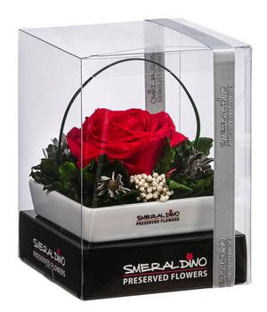 Dehner Keramik-Schale mit Longlife-Rose Dita, ca. B10/H11/T10 cm