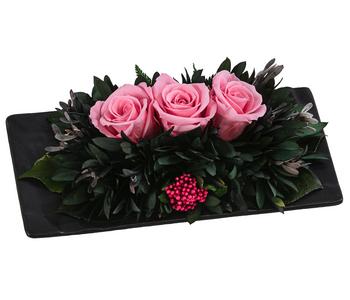 Dehner Arrangement mit Longlife-Rose Cloe, rosa, ca. B19/H6/T10 cm, Rosa / Grün Dunkelgrau - Keramik Naturmaterial