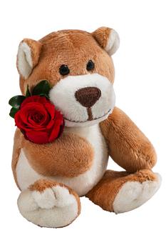 Dehner Kuschelbär mit Longlife-Rose, ca. B6/H10 cm
