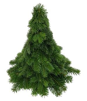 Weihnachtsbäumchen aus Nordmann-Tannenzweigen, ca. H30 cm