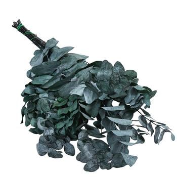 Trockenblumenbund Eukalyptus, dunkelgrün von Dehner - Naturmaterial