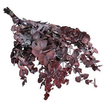 Trockenblumenbund Eukalyptus, dunkelrot von Dehner - Naturmaterial