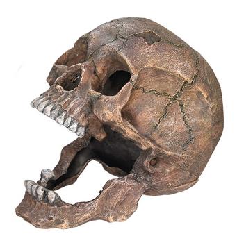 Nobby Aquariumdeko Totenkopf, ca. B20/H16,5/T13,5 cm