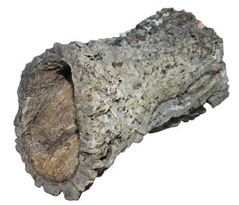 Dehner Terra Terrariendeko Korkröhre