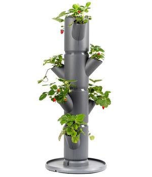 Gusta Garden Erdbeerbaum Sissi Strawberry Starter, ca. B32/H77/T27 cm, Dunkelgrau - Polypropylen
