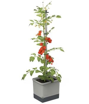 Gusta Garden Tomatentopf Tom Tomato, ca. B35/H135/T28 cm, Hellgrau - Polypropylen / Aluminium