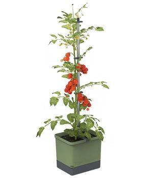 Gusta Garden Tomatentopf Tom Tomato, ca. B35/H135/T28 cm, Dunkelgrün - Polypropylen / Aluminium
