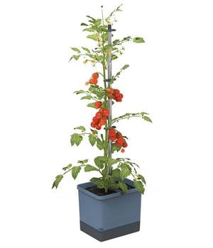 Gusta Garden Tomatentopf Tom Tomato, ca. B35/H135/T28 cm, Blau - Polypropylen, Aluminium