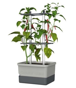 Gusta Garden Chili-Pflanztopf Charly Chili, ca. B35/H69/T28 cm