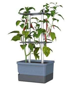 Gusta Garden Chili-Pflanztopf Charly Chili, ca. B35/H69/T28 cm, Blau - Polypropylen, Aluminium