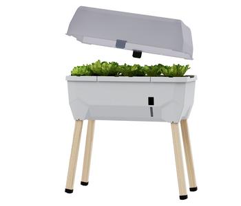 Gusta Garden Mini-Hochbeet Sammy Salad, inkl. Haube, ca. B79/H95/T38 cm, Hellgrau - Polypropylen, Lärchenholz