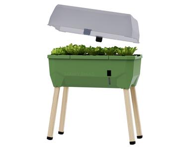 Gusta Garden Mini-Hochbeet Sammy Salad, inkl. Haube, ca. B79/H95/T38 cm, Dunkelgrün - Polypropylen / Lärchenholz