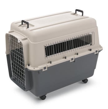 SAVIC Reisebox Andes inkl. Rollen, grau, ca. B100/H80/T67 cm