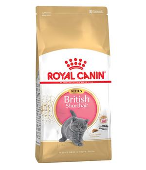 ROYAL CANIN® Trockenfutter für Katzen British Shorthair Kitten