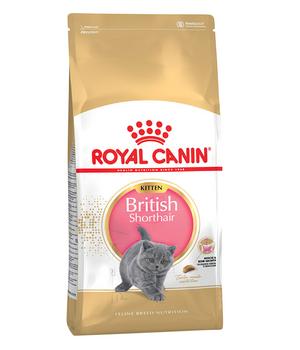 ROYAL CANIN® Trockenfutter für Katzen British Shorthair Kitten