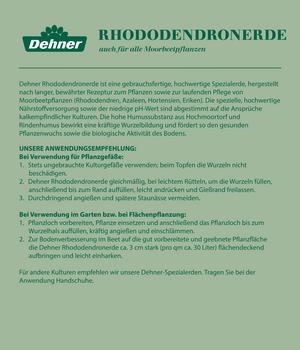 thuja smaragd größe Lebensbaum Thuja occidentalis Smaragd 140-160 cm Höhe Ballenware