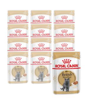ROYAL CANIN® Nassfutter für Katzen British Shorthair in Soße, 12 x 85 g