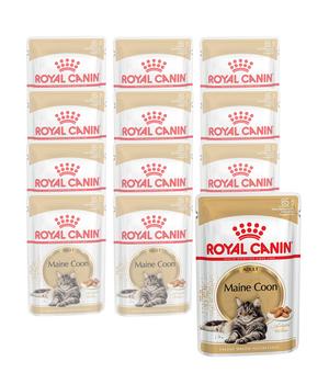 ROYAL CANIN® Nassfutter für Katzen Maine Coon Adult in Soße, 12 x 85 g