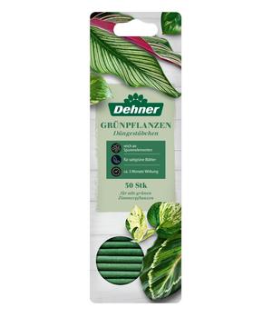 Dehner Düngestäbchen für Grünpflanzen, 30 Stück