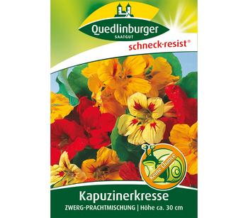 Quedlinburger Samen Kapuzinerkresse 'Zwerg-Prachtmischung'